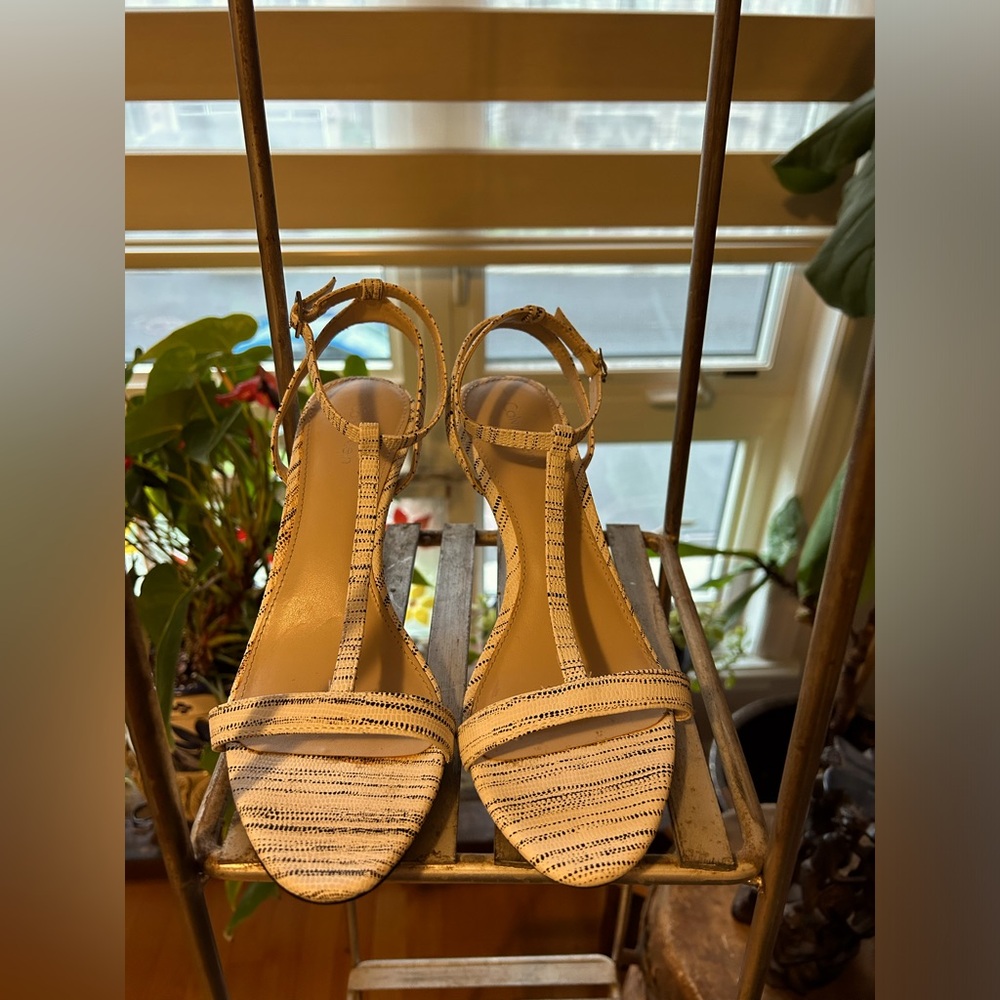 Calvin Klein T strap sandals